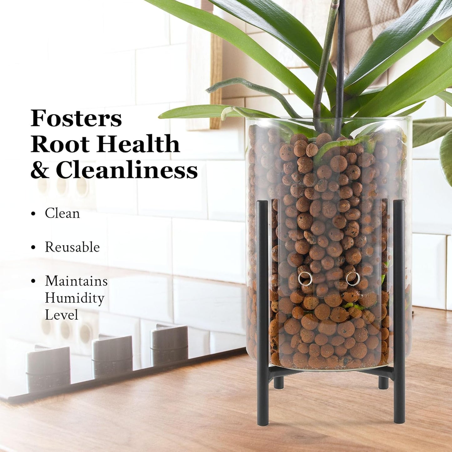 Pot & Pebble - C8 Glass Planter with Decorative Metal Base - Plant Propagation Station with Water Level Control - Plant Cutting Holder for LECA Clay Pebbles/Similar Media - Semi Hydroponic Planter