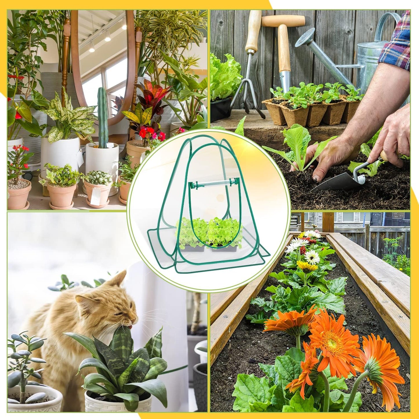Pop Up Greenhouse Cover, Mini Greenhouse PVC Gardening Plant 4-Pack, Portable Small Green House for Indoor Outdoor, Sunshine Room Backyard Flow