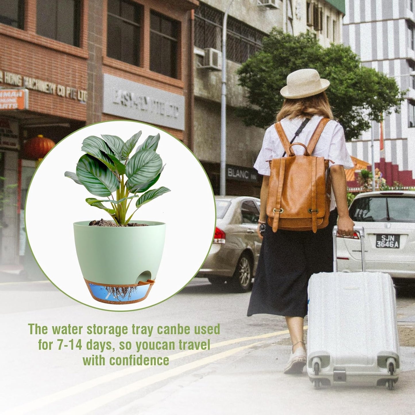 10 inch Self Watering Pots, 2 Pack Plastic Planters with Mesh Drainage Holes for Garden Plants and Flower, Plants Pots with Deep Reservoir for Indoor Outdoor Plants, Green with Brown