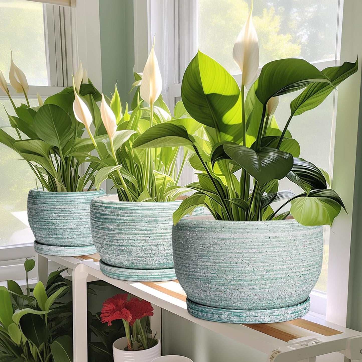 SQOWL Ceramic Planters for Indoor Plants - 8 inch Plant Pot Outdoor, Ceramic Flower Pot with Drainage Hole and Saucer, Round Modern Planter, Living Room Apartment Decor, Birthday Gifts, Green