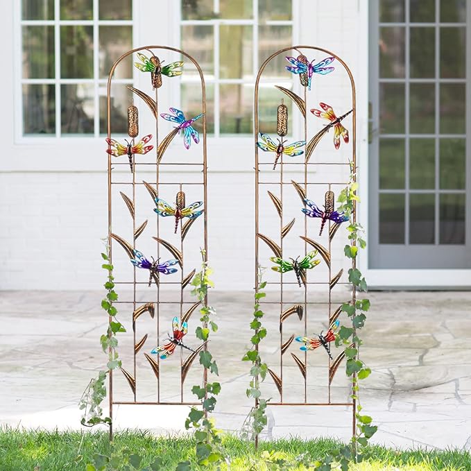 LEWIS&WAYNE 2 Pack Metal Garden Trellis with Colorful Dragonfly 60 Inch High Outdoor Decoration Arched Fence Trellis for Climbing Plants for Patio, Lawn, Yard, Backyard, Wall Brackets