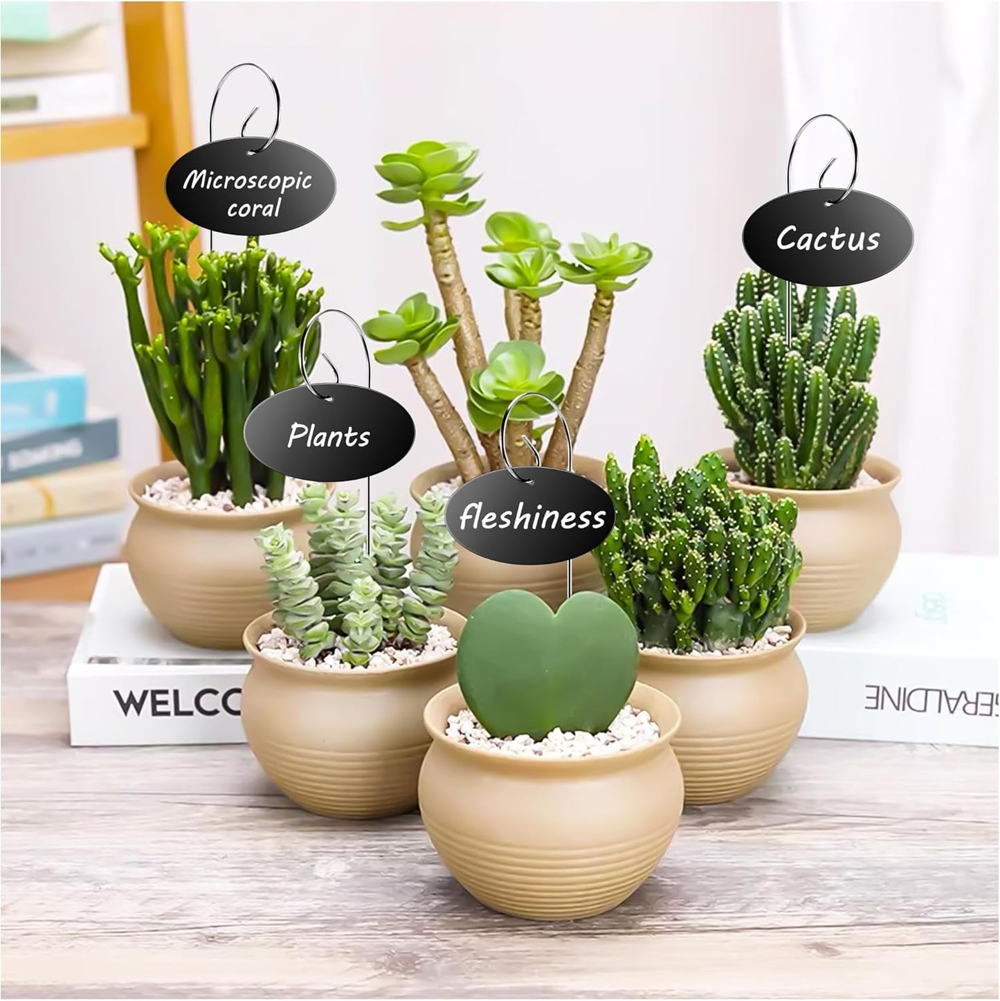 Plant Labels, 50 Pcs Acrylic Garden Labels Stakes with a Pen, Plant Markers for Outdoor Waterproof, Garden Markers Sign Tags for Vegetable, Herb Seedlings Flowers