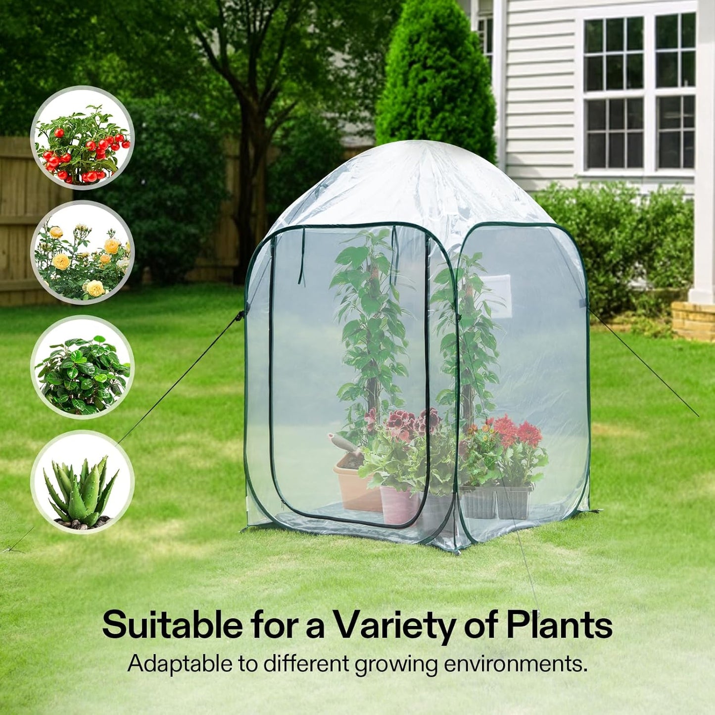 VIVOSUN 39x39x63-Inch Portable Walk-in Greenhouse, with PVC Cover & Detachable Base, Instant Pop-up and Folding, Mini Greenhouse with Roll-Up Door & Mesh Window for Indoor Outdoor, Wind Ropes Included