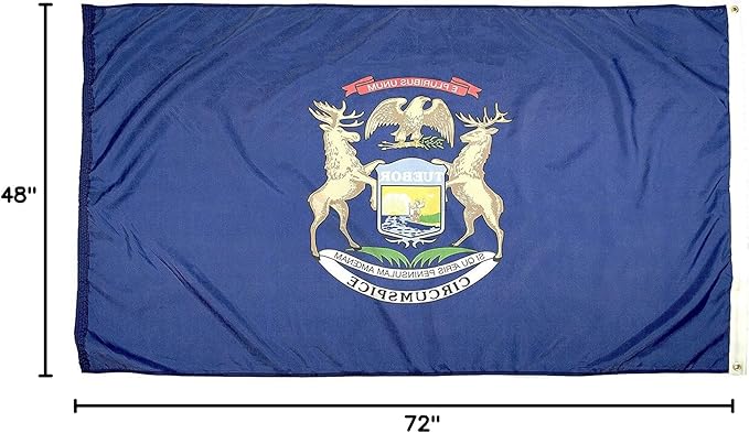 FlagSource Michigan Nylon State Flag, Made in the USA, 4x6'