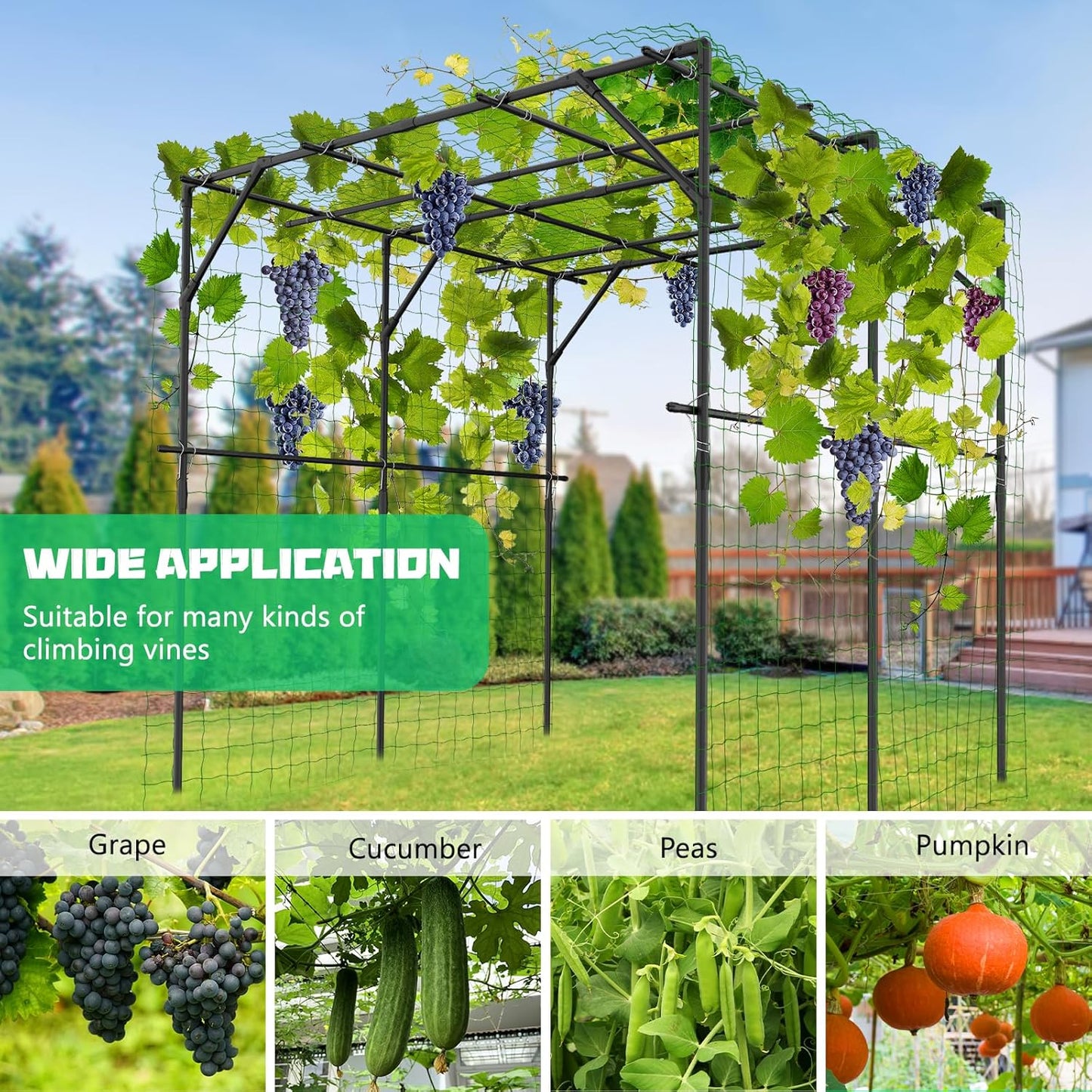 DoCred Tall Garden Arch Trellis for Climbing Plants, 79in Tall Metal Plant Support Trellis Archway for Climbing Vine Vegetable/Fruit/Flower Outdoor Yard Lawn Garden Arch Tunnel Trellis