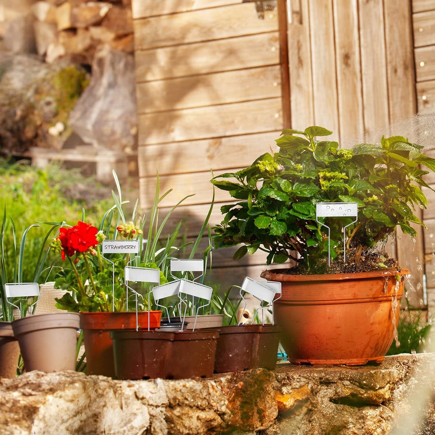 Moxweyeni 60 Pcs Metal Plant Tags - Waterproof, Reusable, Aluminum, 10 Inch with Permanent Pen