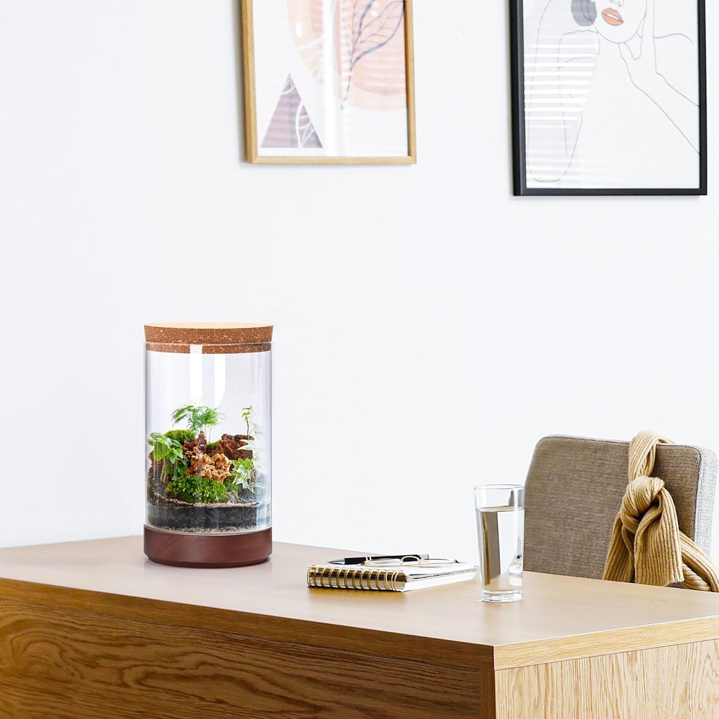 Clear Glass Houseplant Terrarium Planter, 6" W x 10" H, Cylindrical Terrarium with Wooden Base & Cork Lid | Versatile Tabletop Decoration for Home or Office or Hydroponics (Plant Not Included), 41-A-M