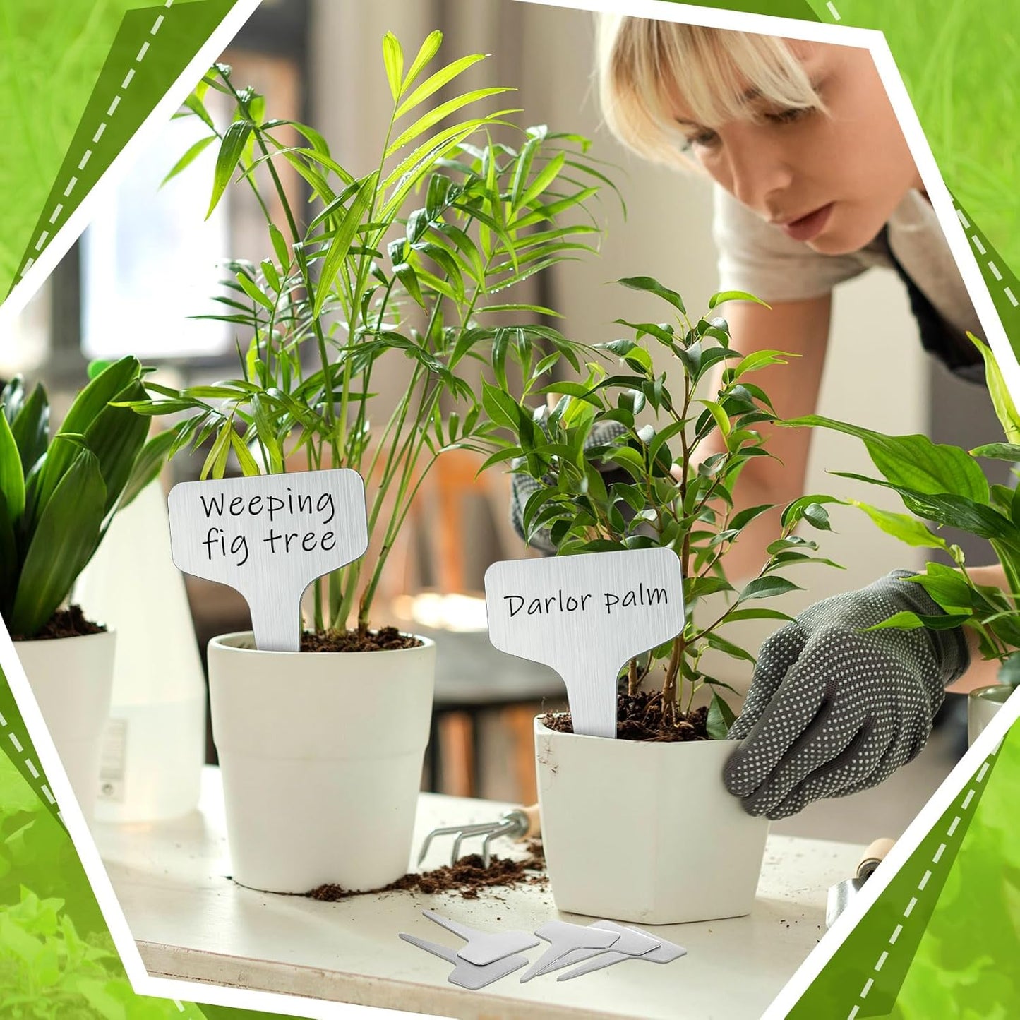 Hicarer 24 Pcs Durable Metal Plant Labels Christmas Gift Weatherproof Garden Markers Engraving Stainless Steel 304 T-Type Reusable Plant Tags for Gardeners Outdoor Greenhouse Vegetables(4x8 Inch)