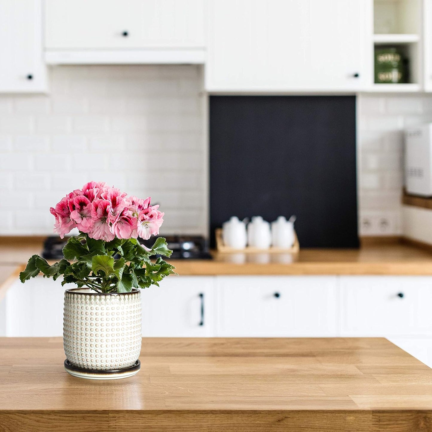 D'vine Dev Set of 2 Ceramic Plants Pots, 4 Inch Beaded Stoneware Flower Pot for Plants with Drainage Hole and Saucer, Smoked White, 27-E-Z-1