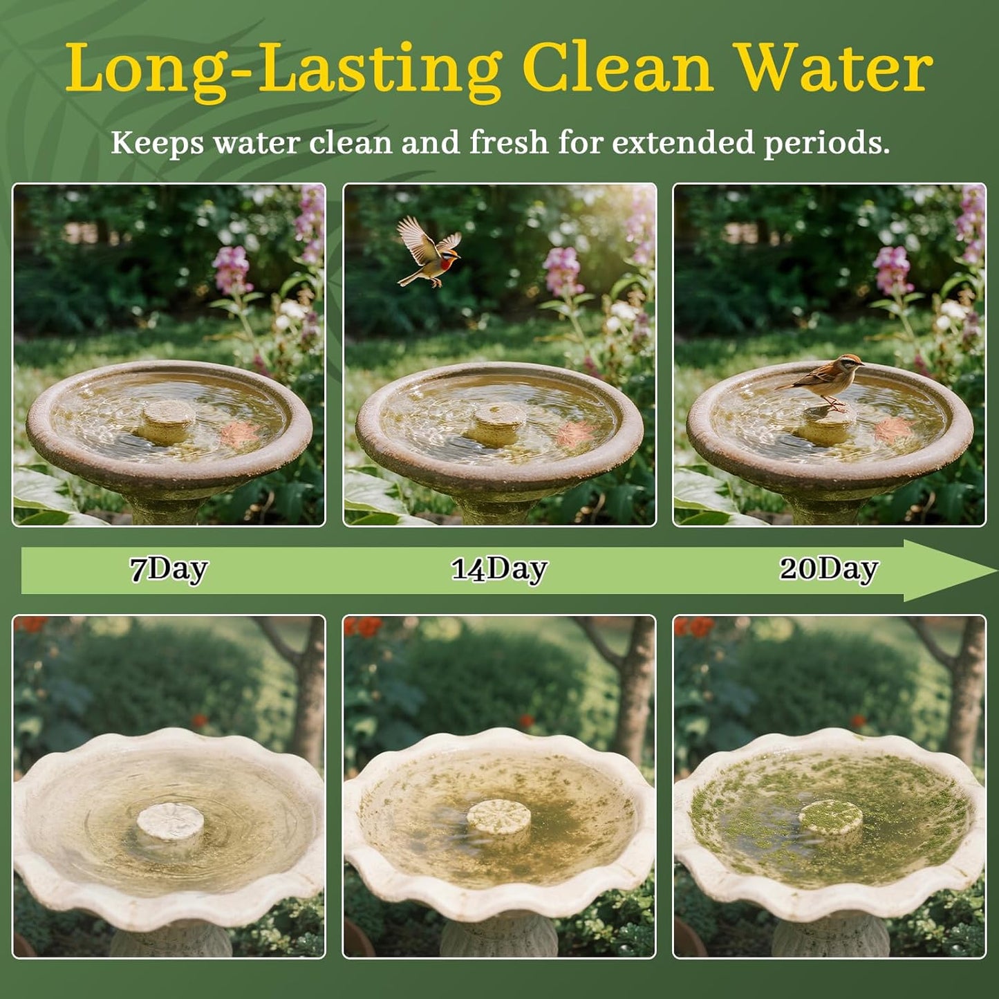 Bird Bath Copper Disk,Bird Bath Purification Disk 0.6mm Reinforced 99.99% Pure Copper Cleaning Disk with 3-Point Support,Fits Outdoor Birdbath & Bowl,Provide Safe Clean Water,Maple Leaf-1Pc