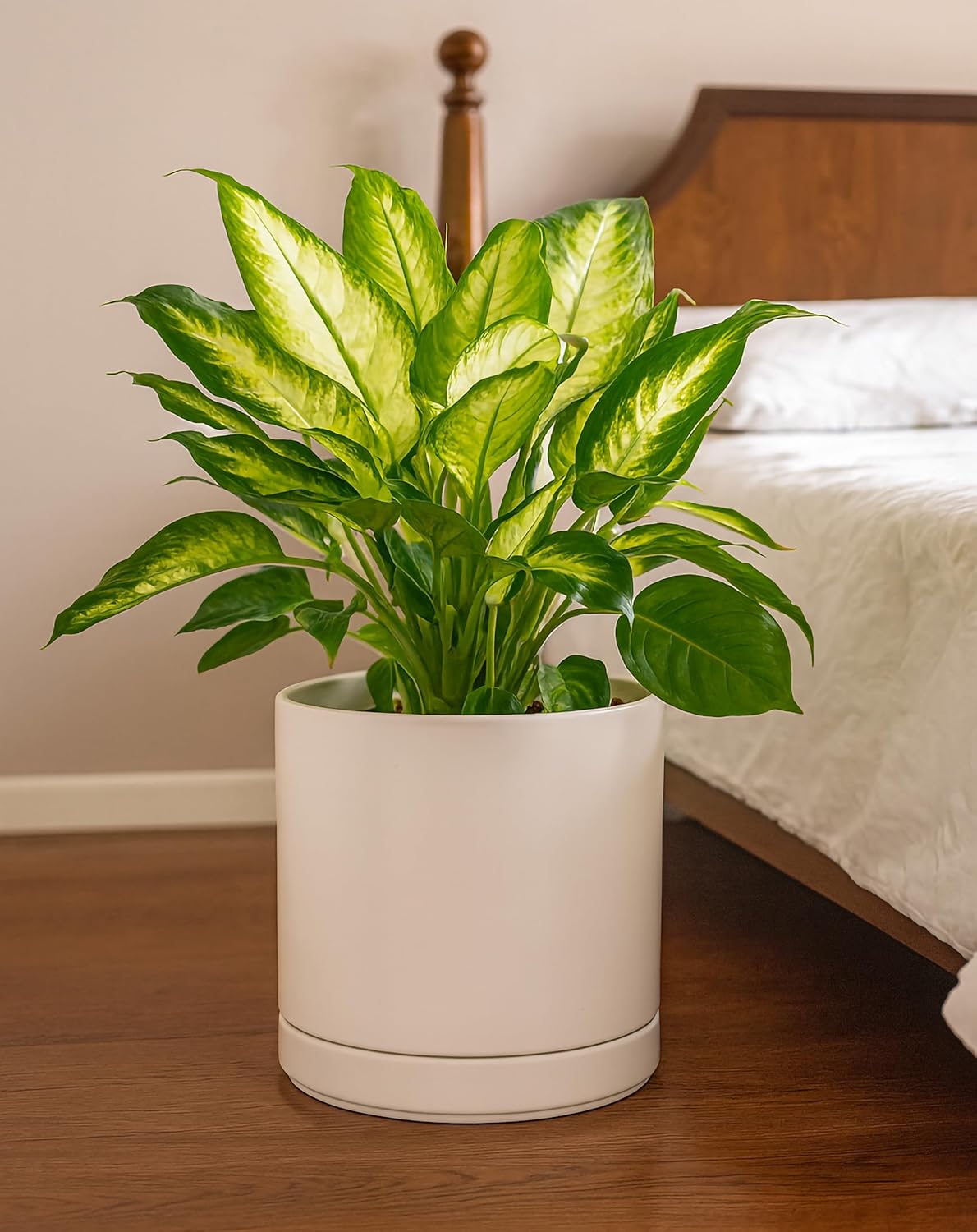 D'vine Dev Set of 2 Plants Pots, 10 Inch Ceramic Planter Pot for Plants with Drainage Hole and Saucer, Oatmeal, 94-V-E-8