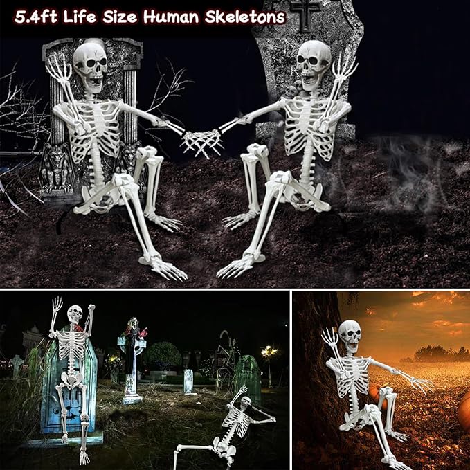 Lodou 5.4Ft Posable Life Size Human Adult Skeletons Plastic Human Bones with Movable Joints for Halloween Decoration