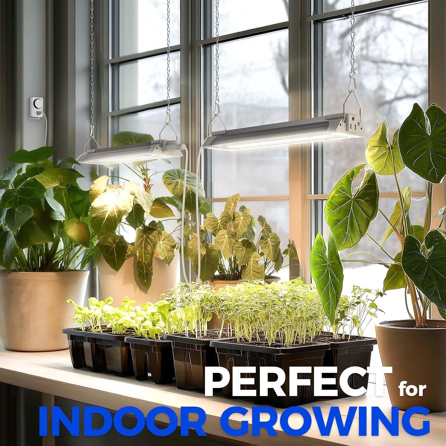 Barrina TX18 1FT Grow Light, 18W(90W Equivalent), High PPFD, Full Spectrum with 660nm Red LEDs, Grow Light Strip for Indoor Plants, Plant Shelves, Seedlings with On/Off Switch, Linkable, 1 Pack