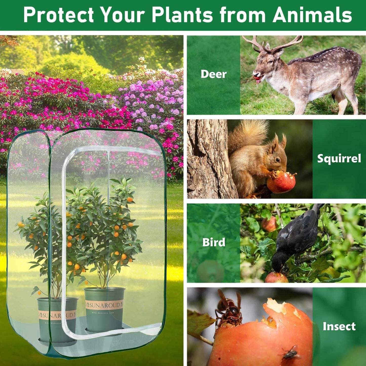 Plant Mini Greenhouse Pop up Frost Protection Enclosure PVC Clear Plant Covers with Roll-up Zipper Entry Doors, Indoor and Outdoor Gardens Protecting Plant from Cold Frost (PVC, 23x23x35in)