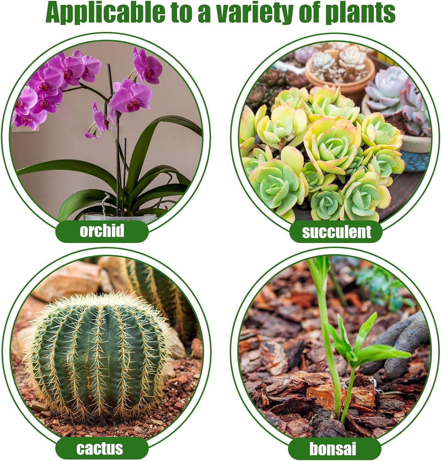 Orchid Bark 1qt, Natural Pine Bark Mulch for Plants, Great for Orchids, Succulents, Cactus, Bonsai, Ideal for Houseplant Mulch