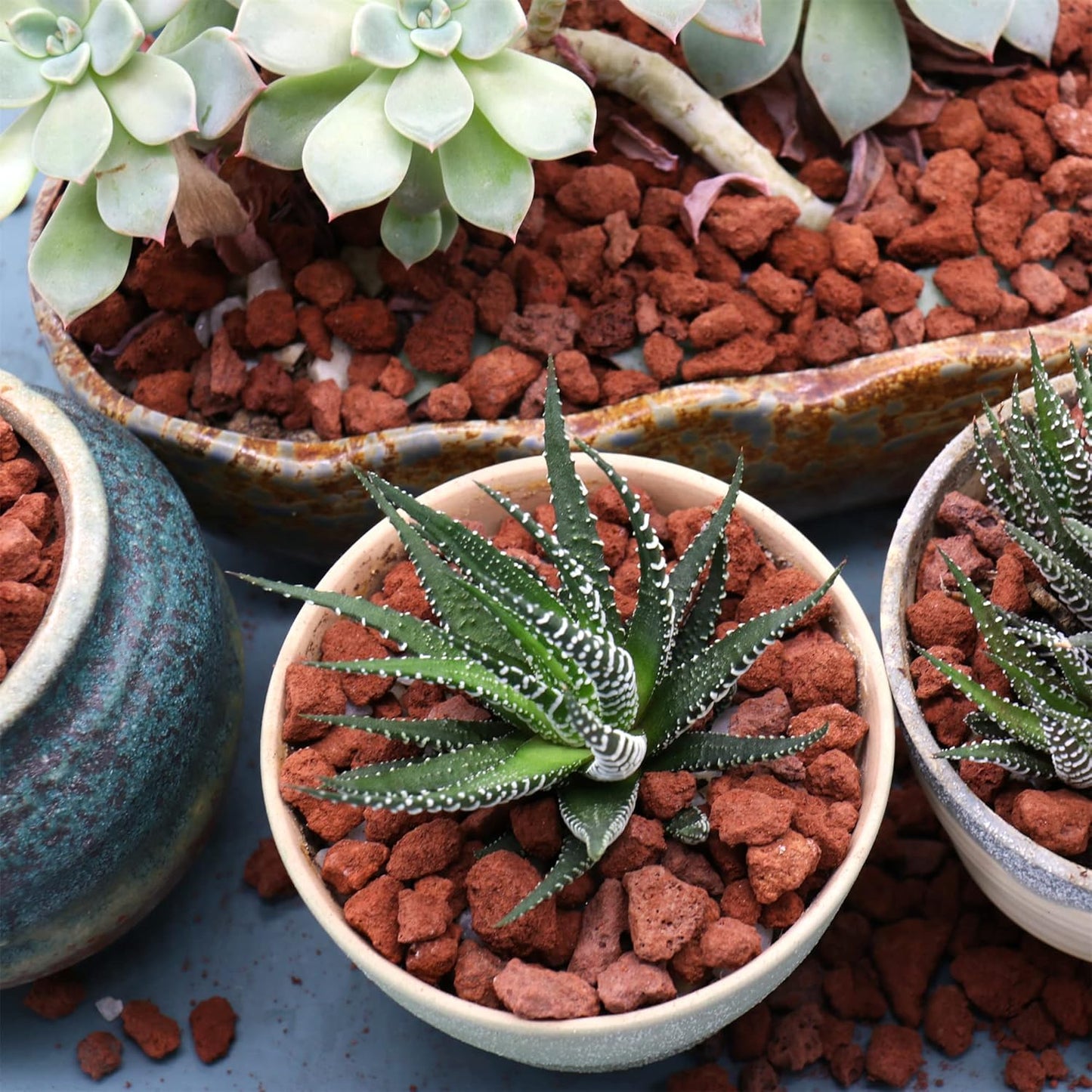 Volcanic Rock for Plants. Red Lava Rock. 1/5 Inch - 2 lbs for Potting Soil, Succulents, Pots, Plants, Gardening, Indoor, Crafting (Mini (0.2 Inch), Horticultural - RED Lava, 2)