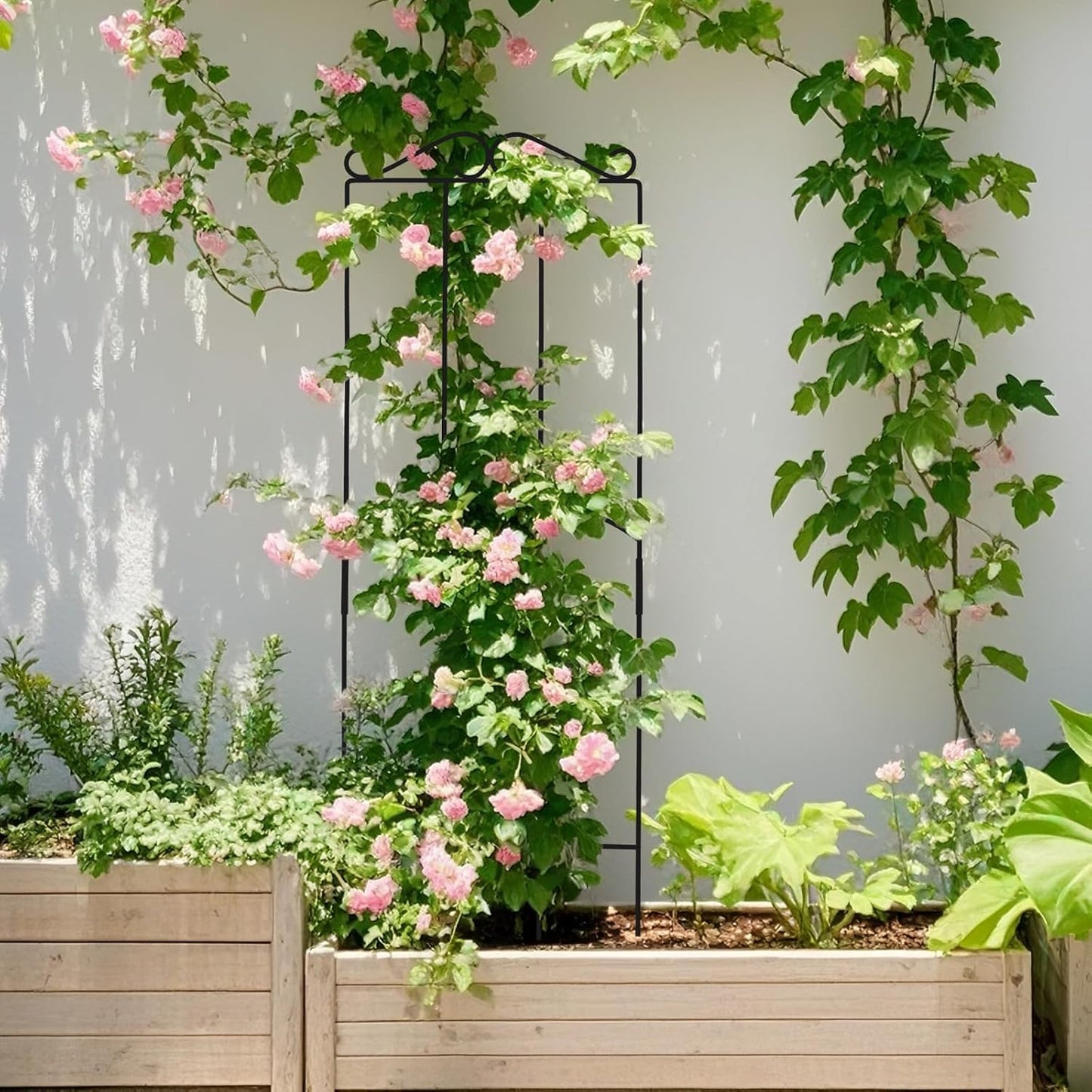 32 Inch Metal Plant Trellis for Climbing Plants Outdoor,4 Pack Garden Trellis for Potted Climbing Plants Indoor Houseplants Flowers Vine Ivy,Black,Rectangle