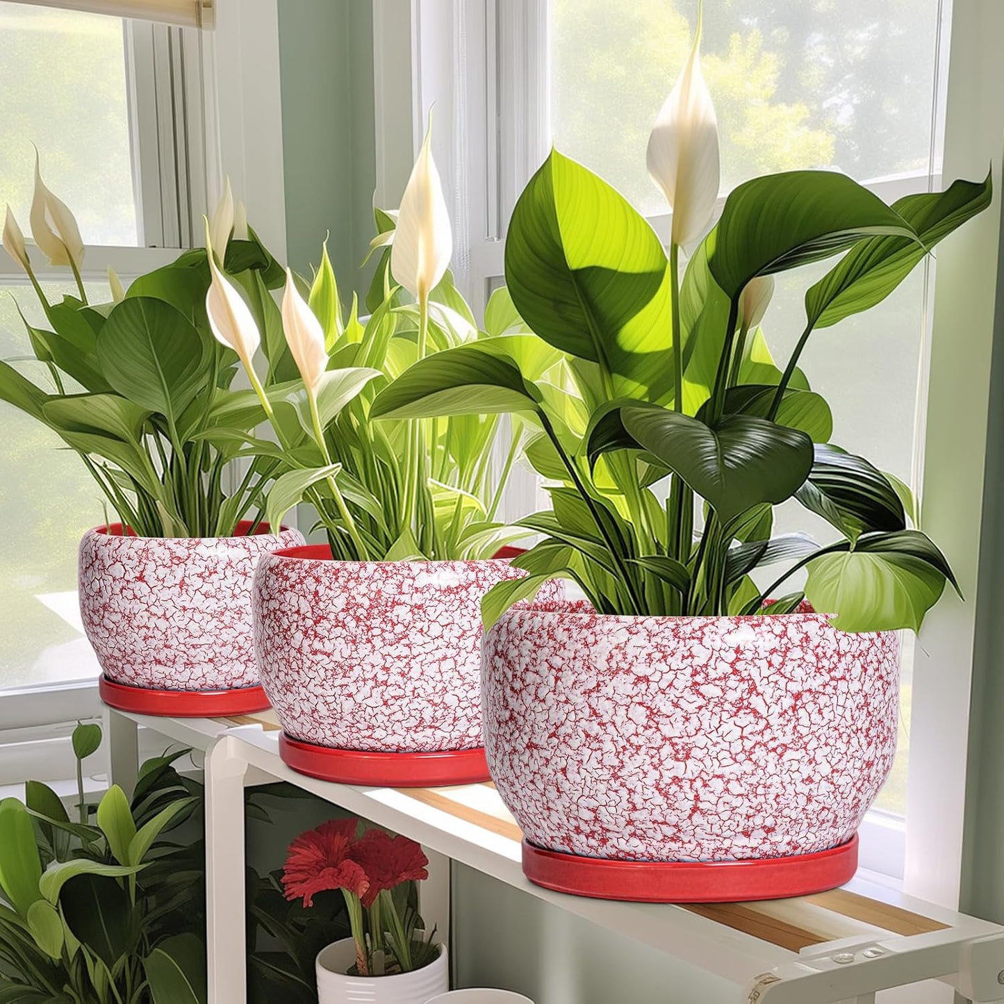 SQOWL Ceramic Pots for Plants - 8 inch Indoor Planter with Drainage Hole and Tray, Ceramic Flower Pot Outdoor, Round Decorative Planter, Bedroom Decor, Gifts for Plant Lovers, Red and White