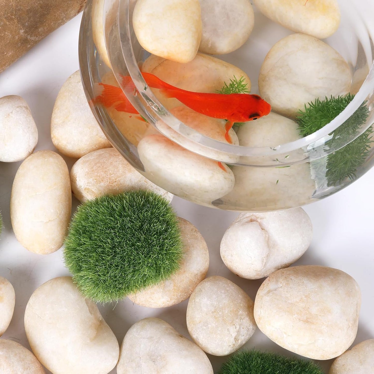 20LB Smooth Pebbles River Rocks, 100% Natural Hand-Picked Premium Decorative Pebbles, Ideal for Garden Landscaping, Home Decor, Aquariums, Painting, Crafting and Gifts, Cream White