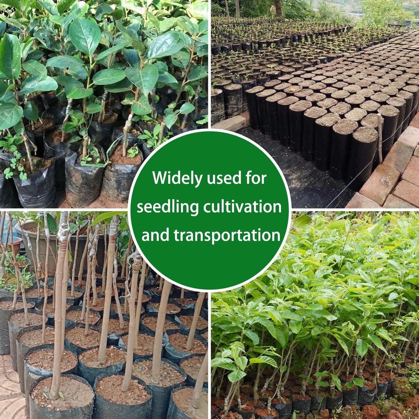 Belit Nursery Growing Bags, 100 Pcs Black Plastic Seedling Pots for Gardening Seed Plant Bags, Fruit Tree Seedling, Starting saplings(7"x8.7")