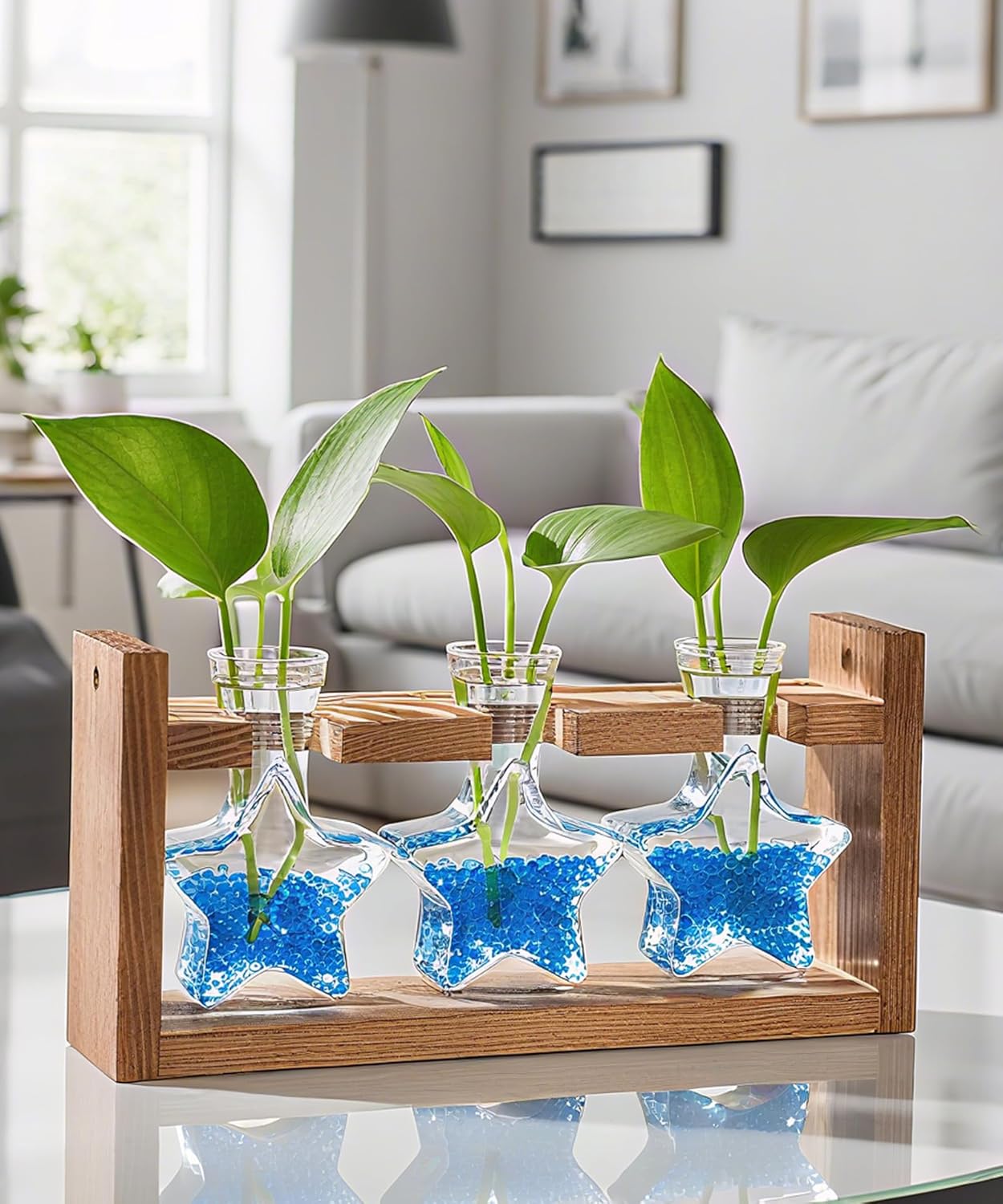 Nacome Plant Terrarium with Wooden Stand,Star-Shaped Planter Propagation Station Glass Vase for Home Office Decor- Unique Gifts for Plant Lovers Women Mom