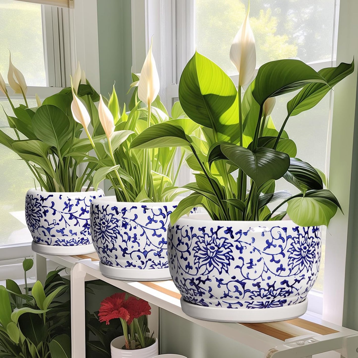 SQOWL Ceramic Pots for Plants - 10 Inch Ceramic Flower Pots with Drainage Hole and Saucer, Round Large Planter Indoor, Decorative Porcelain Planter Outdoor, Home Decor, Birthday Gifts, Blue and White