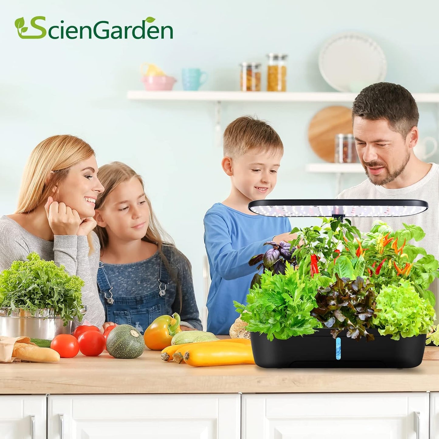 Hydroponics Growing System, Indoor Herb Garden, 12 Pods Hydroponics Growing System, Herb Garden Kit Indoor Gardening System with Grow Light, Automatic Timer, Height Adjustable, Home Kitchen Gift