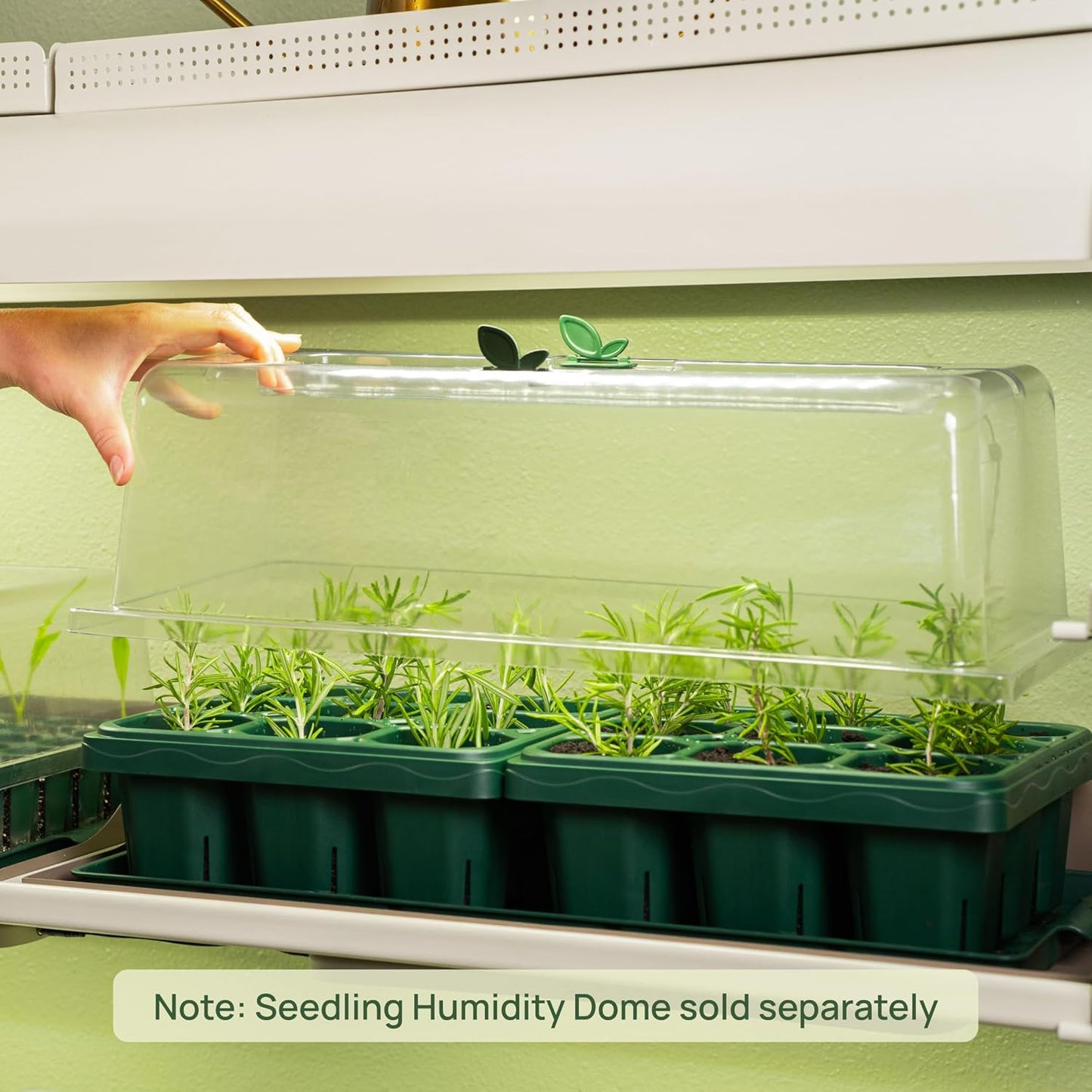 Vego garden Giga Seedling Trays - 8 Pack, 9-Cell UV-Resistant Reusable Starter Trays for Greenhouse/Garden (No Lids)