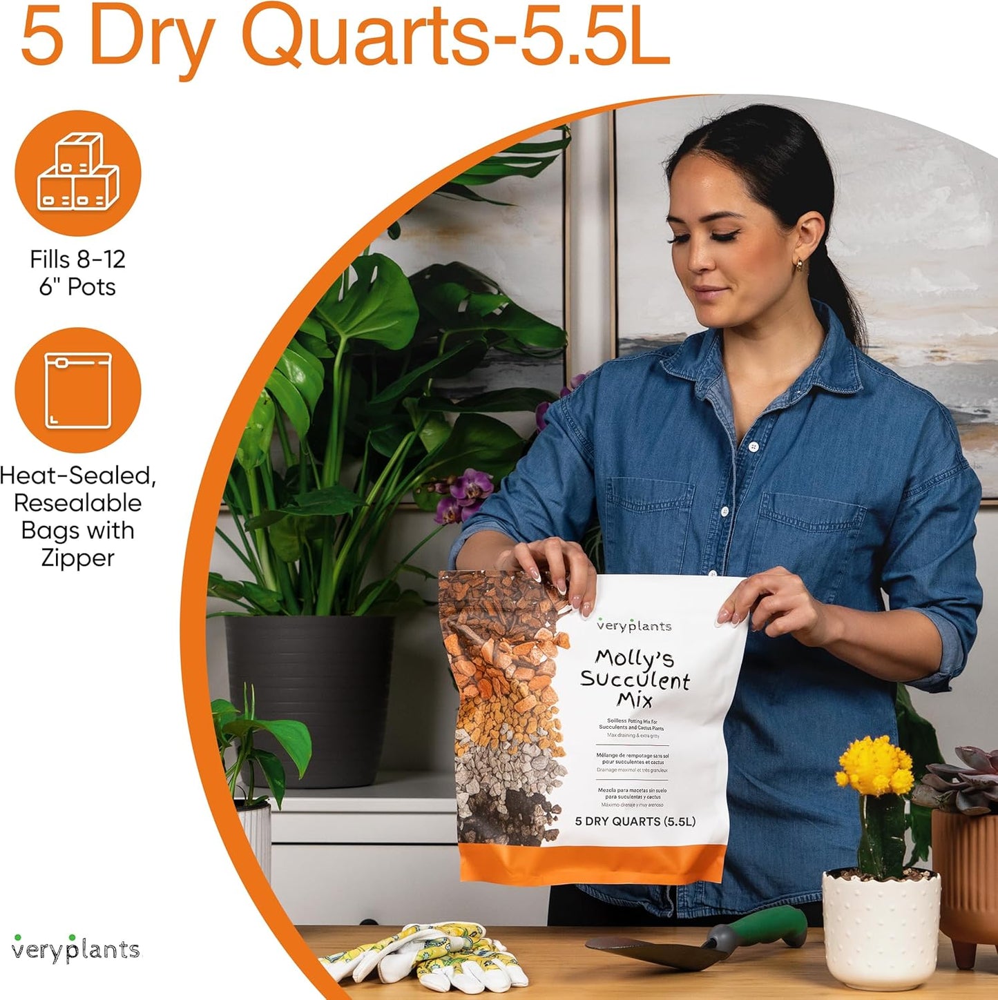 Molly's Succulent Mix - Premium Gritty Soilless Potting Mix for Succulents, Cactus and Bonsai - Contains Akadama, Hyuga, Bark Fines, Pumice, Lava Rock, Mycorrhizae 3 Dry Quarts