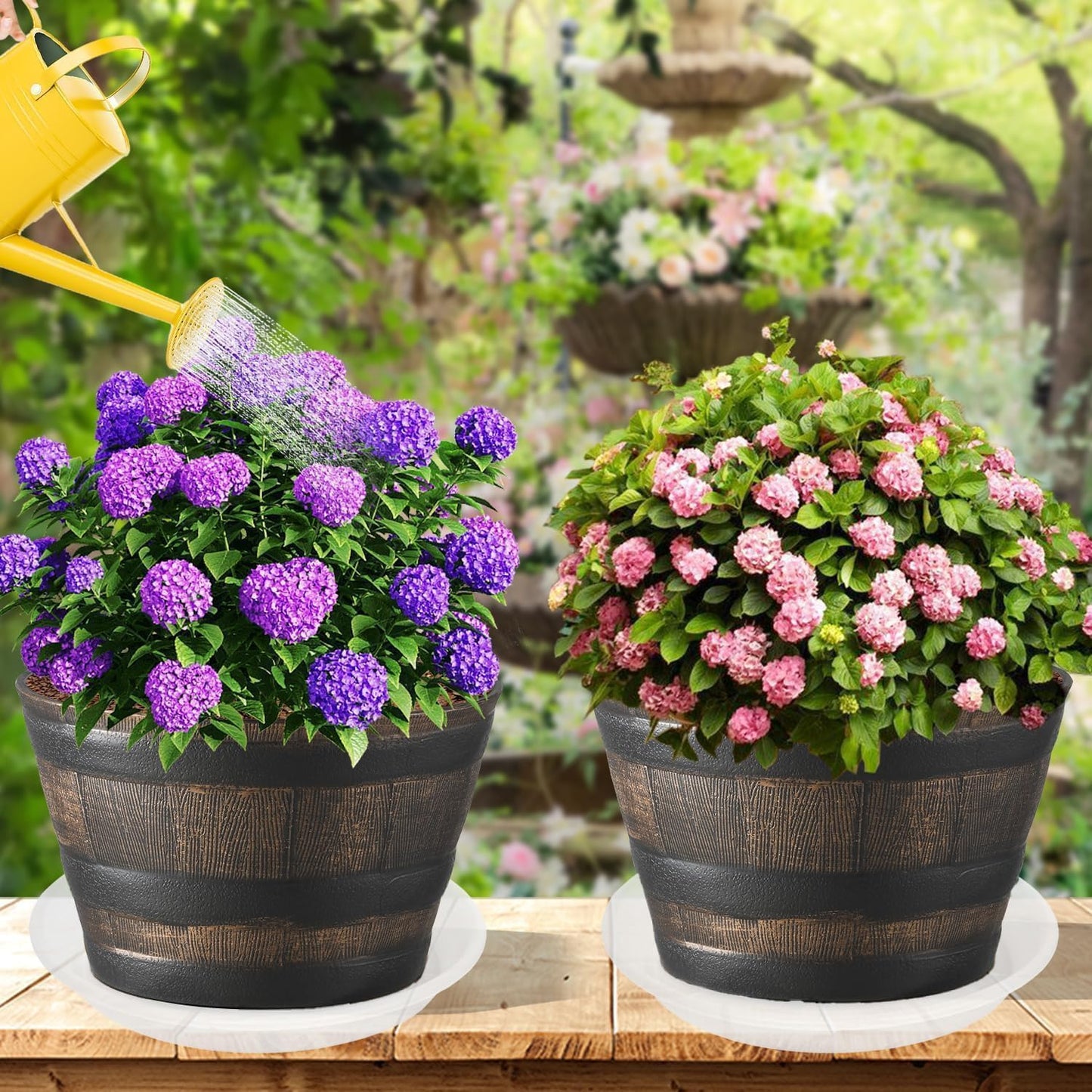 6 Pack Clear Plant Saucer 8 inch, Heavy Duty Plastic Plant Water Tray, Planter Saucers, Flower Pot Tray, Planter Tray, Bird Bath Bowls, Water Trays for Plant Pots 7"/8" (Clear)