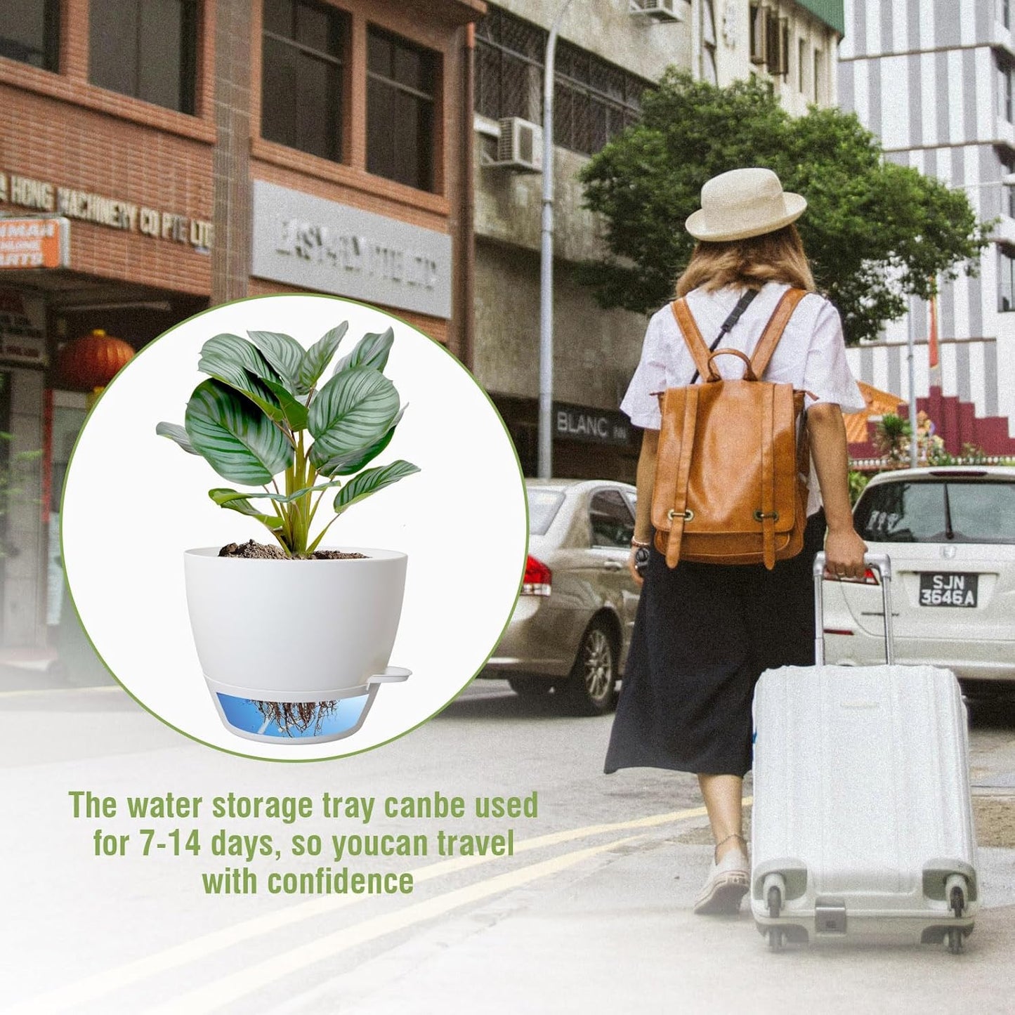 8 inch Self Watering Pots, Planter, Plant Pots with Mesh Drainage Holes for Indoor Outdoor House Plants and Garden, 2 Pack Plastic Flower Pots with Deep Reservoir for Patio Porch, White