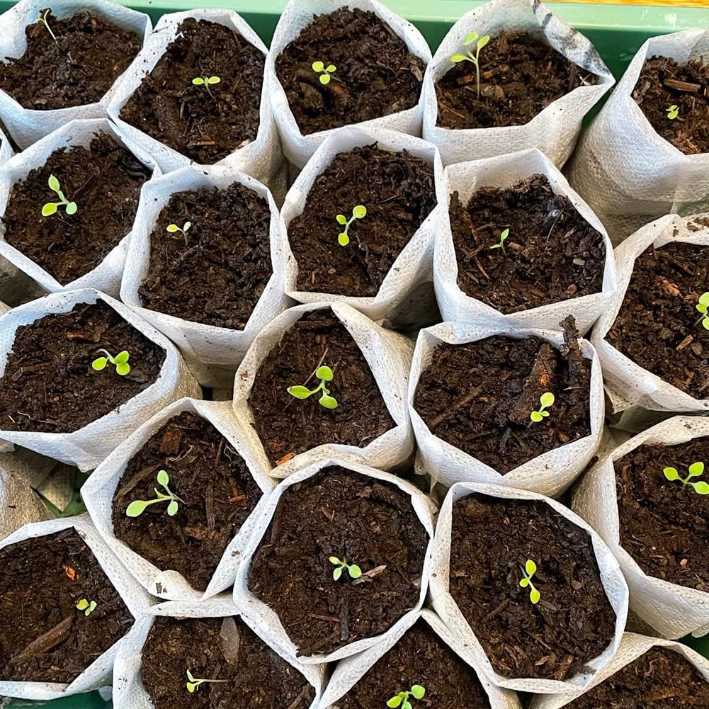 Belit Large Non-Woven Seedlings Grow Bag,50PCS (11.2"x10.2") Fabric Nursery Bags for Plants,Fabric Plant Pots for Planting,Gardening Transplanted Home Garden Supplies