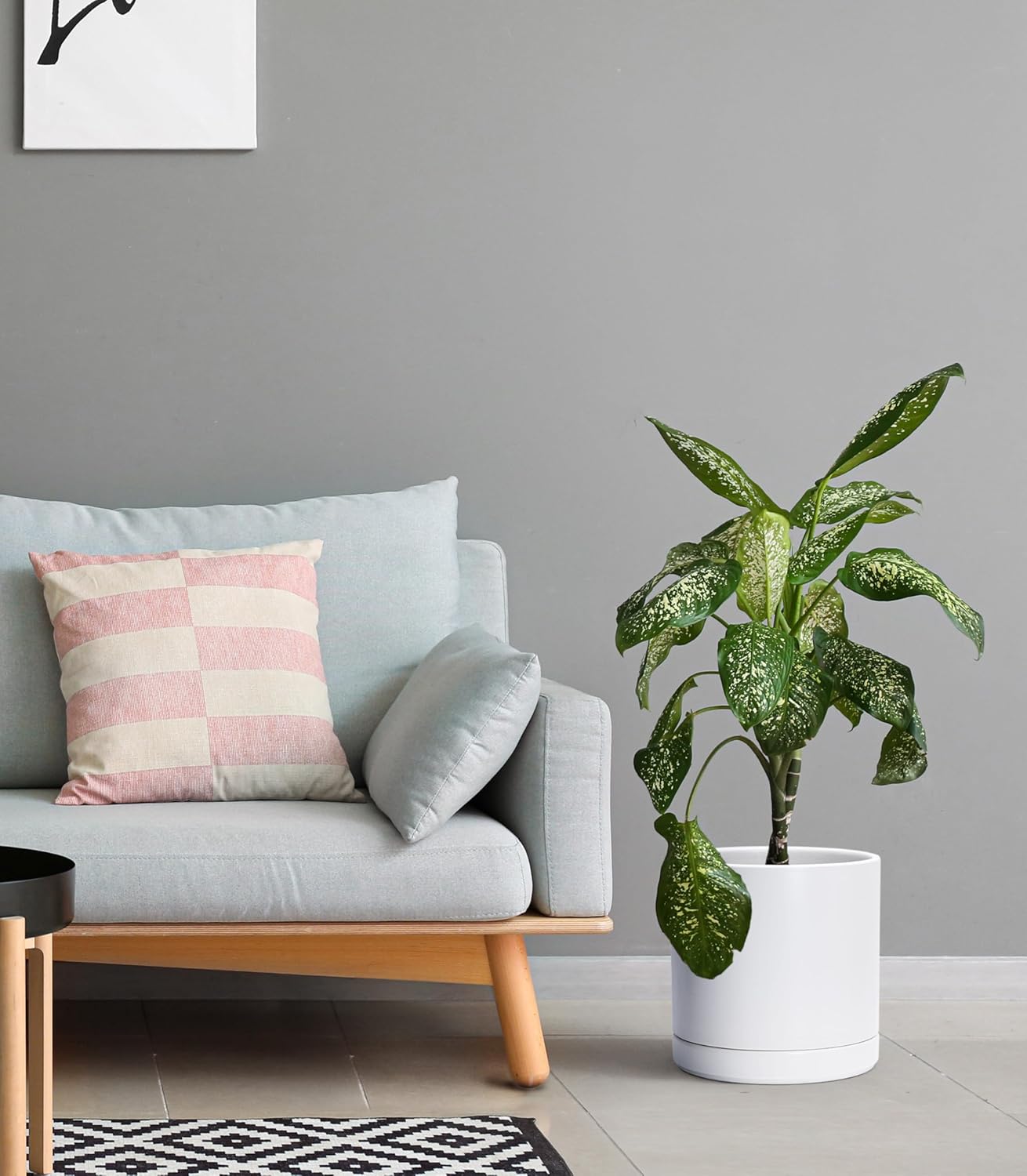 D'vine Dev Set of 2 Plants Pots, 10 Inch Ceramic Planter Pot for Plants with Drainage Hole and Saucer, White, 94-V-E-1