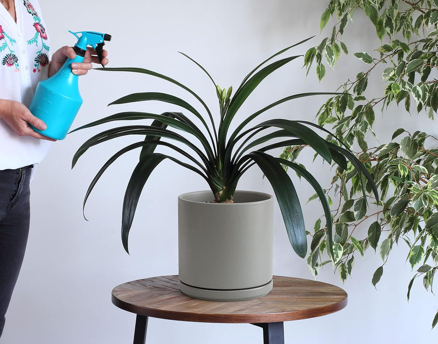 Set of 2 Plants Pots, 8 Inch Ceramic Planter Pot for Plants with Drainage Hole and Saucer, Speckled Grey, 94-V-D-3