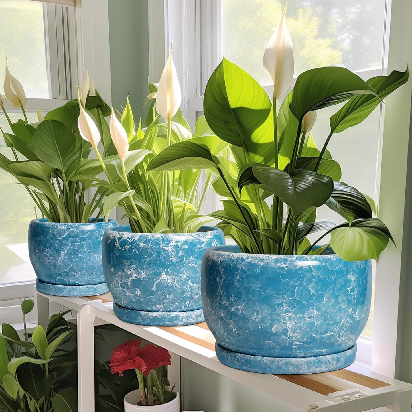 SQOWL Ceramic Planters - 10 Inch Plant Pot Indoor with Drainage Hole and Saucer, Decorative Flower Pot Outdoor, Round Large Planter, Living Room Office Garden Decor, Plant Lover Gifts for Women, Blue