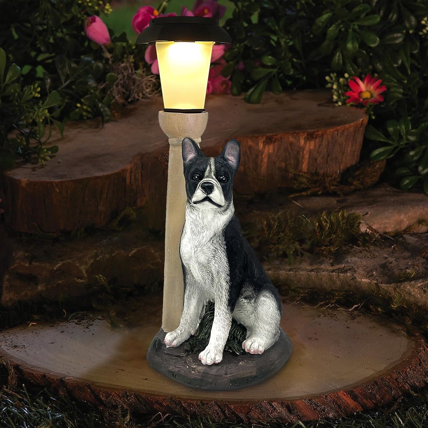 Solar Dog Garden Statues with Lantern, Resin Boston Terrier Sculpture with Warm White Light for Outside Lawn Porch Patio