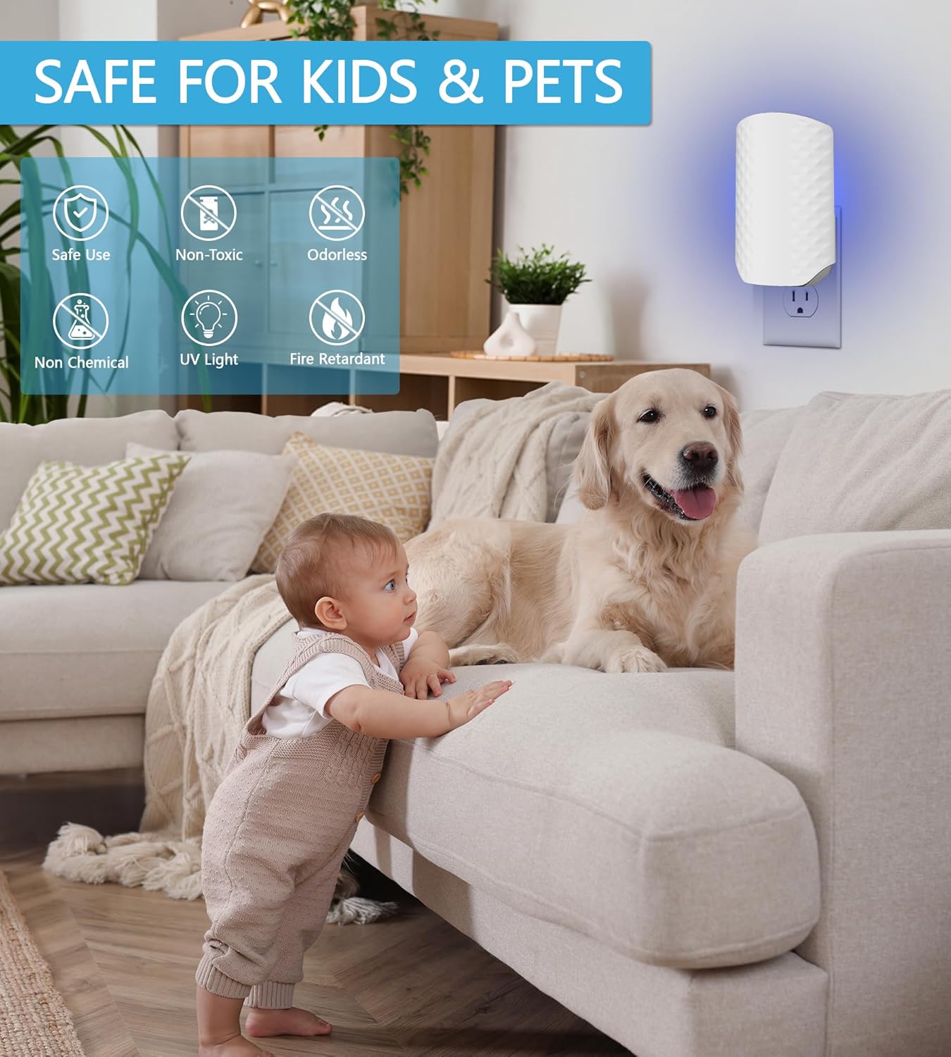 10PCS Refills for WowCatch Flying Insect Trap N386E, Original Super Sticky Cards, High Efficiently Stick Fruit Flies, Gnats, Moths, and Houseflies (Refills Only)