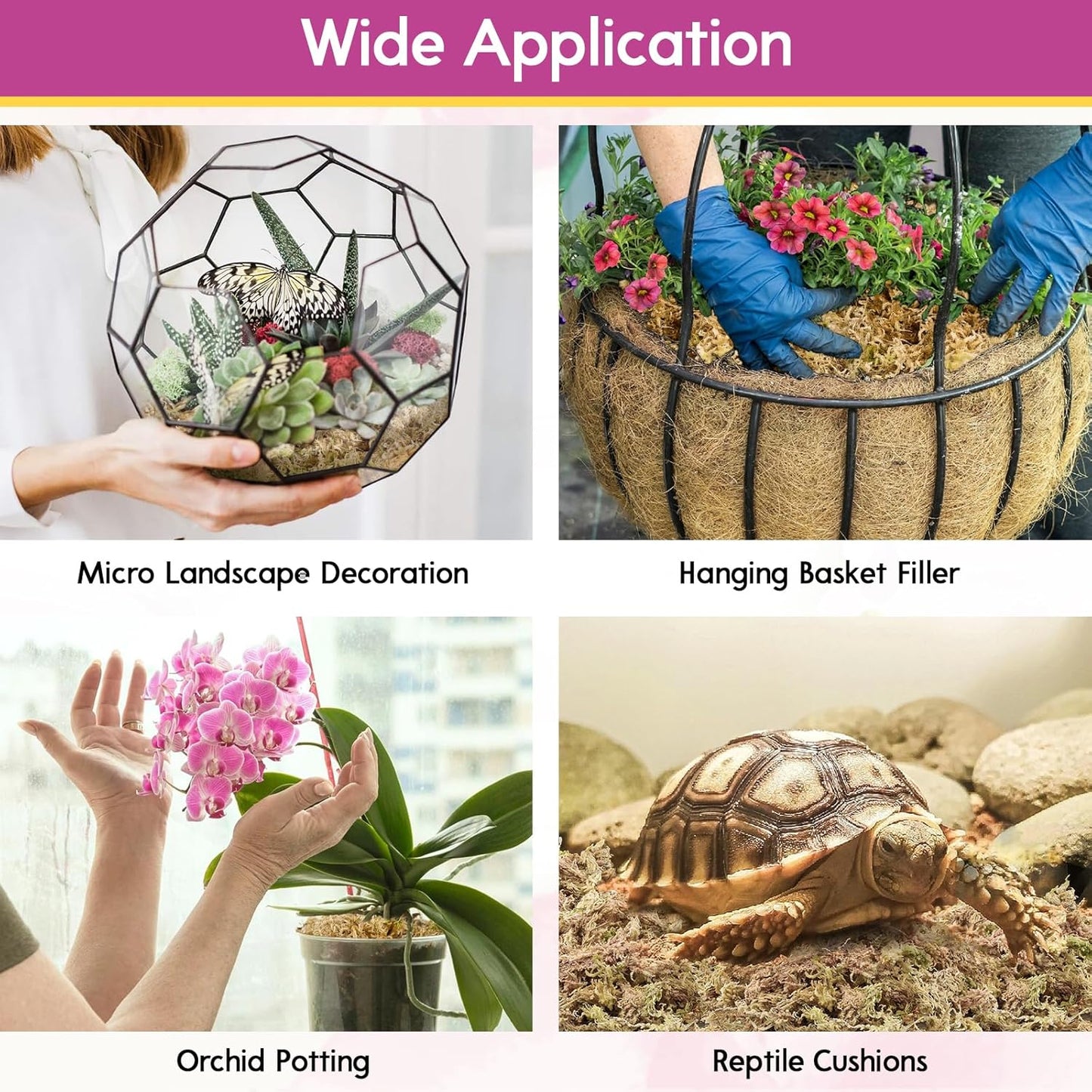 Riare 3.5 OZ Premium Sphagnum Moss for Plants- 4QT Natural Long Fiber Sphagnum Peat Moss Dried, Plants Moss Orchid Potting Mix for Orchids Repotting, Carnivorous Succulent Potted Plants and Reptiles