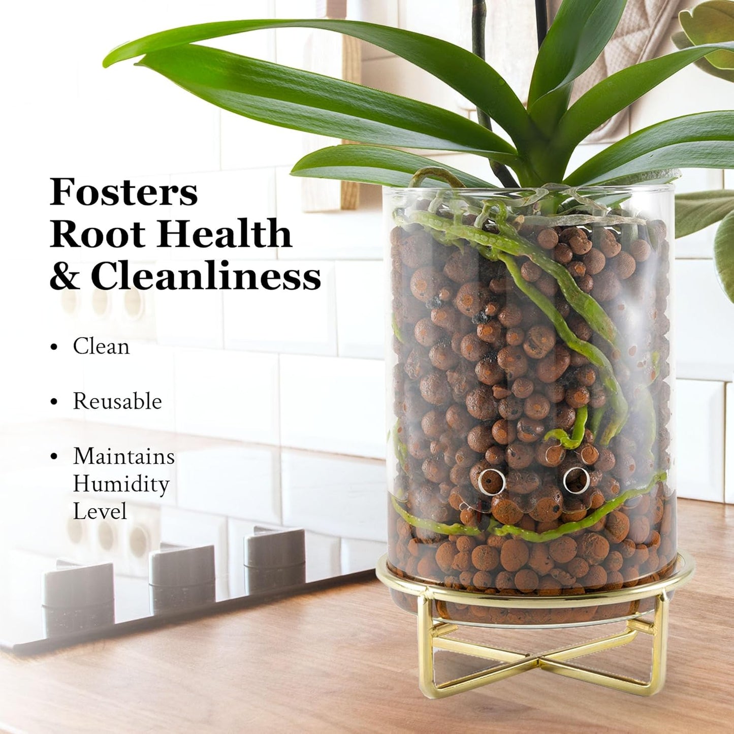 Pot & Pebble - C9 Glass Planter with Decorative Metal Base - Plant Propagation Station with Water Level Control - Plant Cutting Holder for LECA Clay Pebbles/Similar Media - Semi Hydroponic Planter