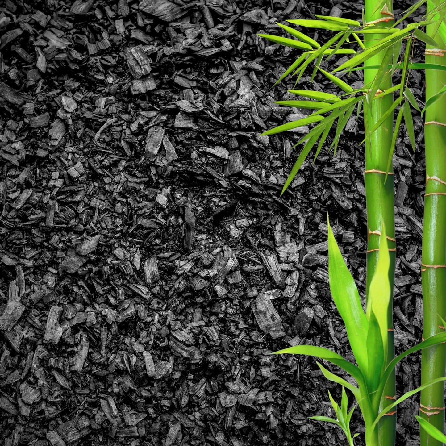 Horticultural Charcoal for Plants – Organic Bio Char Soil Amendment for Terrariums, Indoor Plants & Gardening, Made in USA (5 quarts)