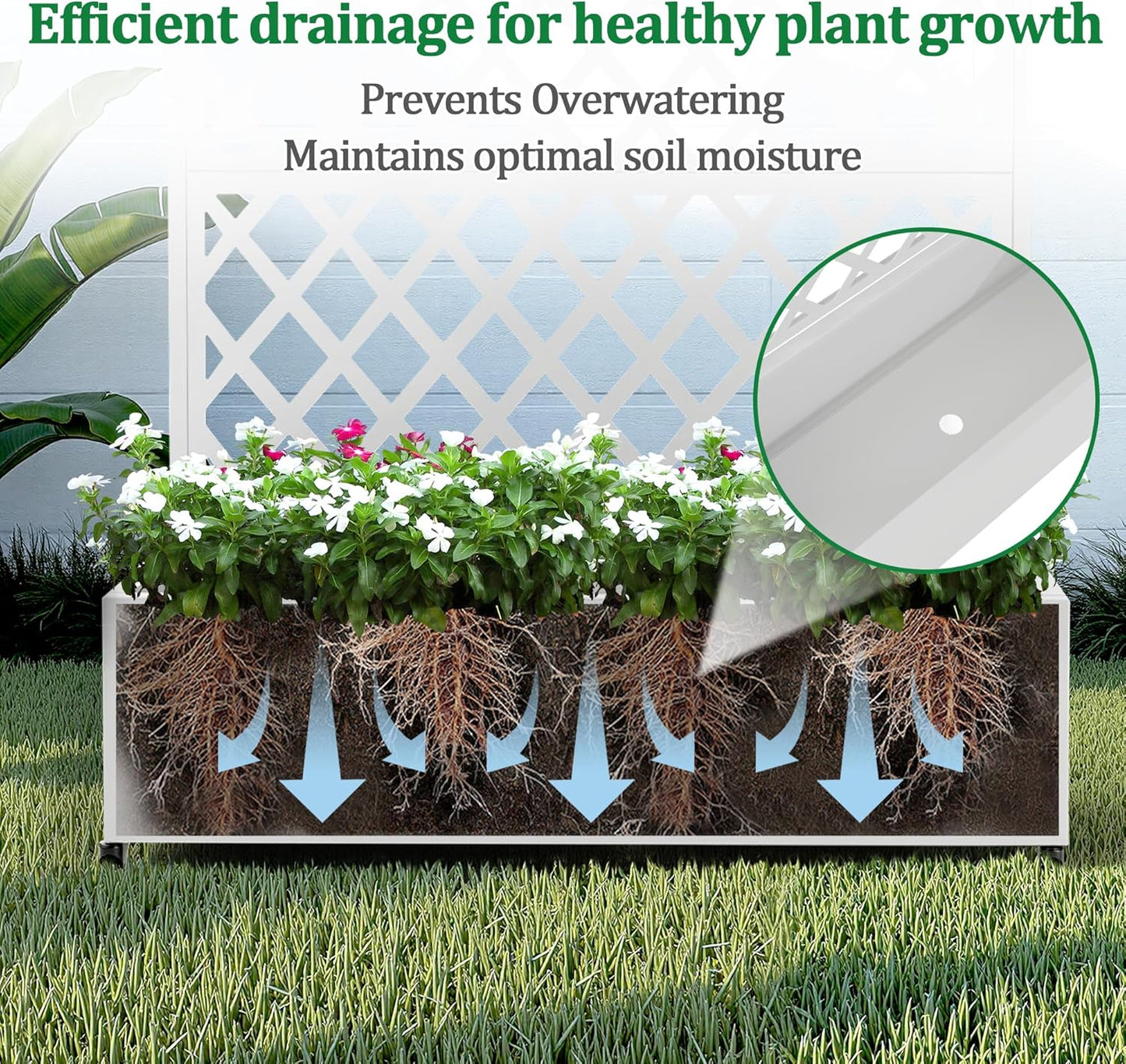 Metal Raised Garden Bed with Trellis and Wheels, 2 in 1 Trellis with Planter Box & Privacy Screen for Climbing Plants, Outdoor Standing Flower Beds with Drainage Holes, 35.4"L x 15.7"W x 70.9"H, White