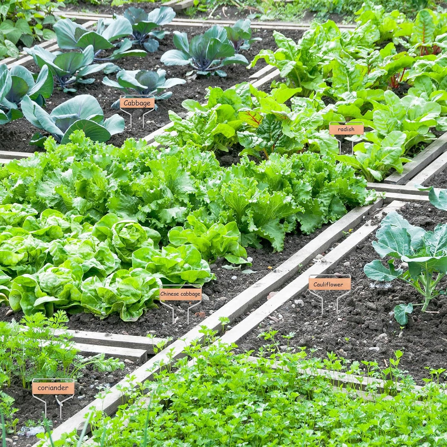 50 PCS Metal Plant Labels Plant Tags 4 Inch Plant Markers For Garden Waterproof Copper Plant Tags Outdoor Garden Label Stakes Reusable Nursery Tags Garden Plant Copper Label For Seedlings