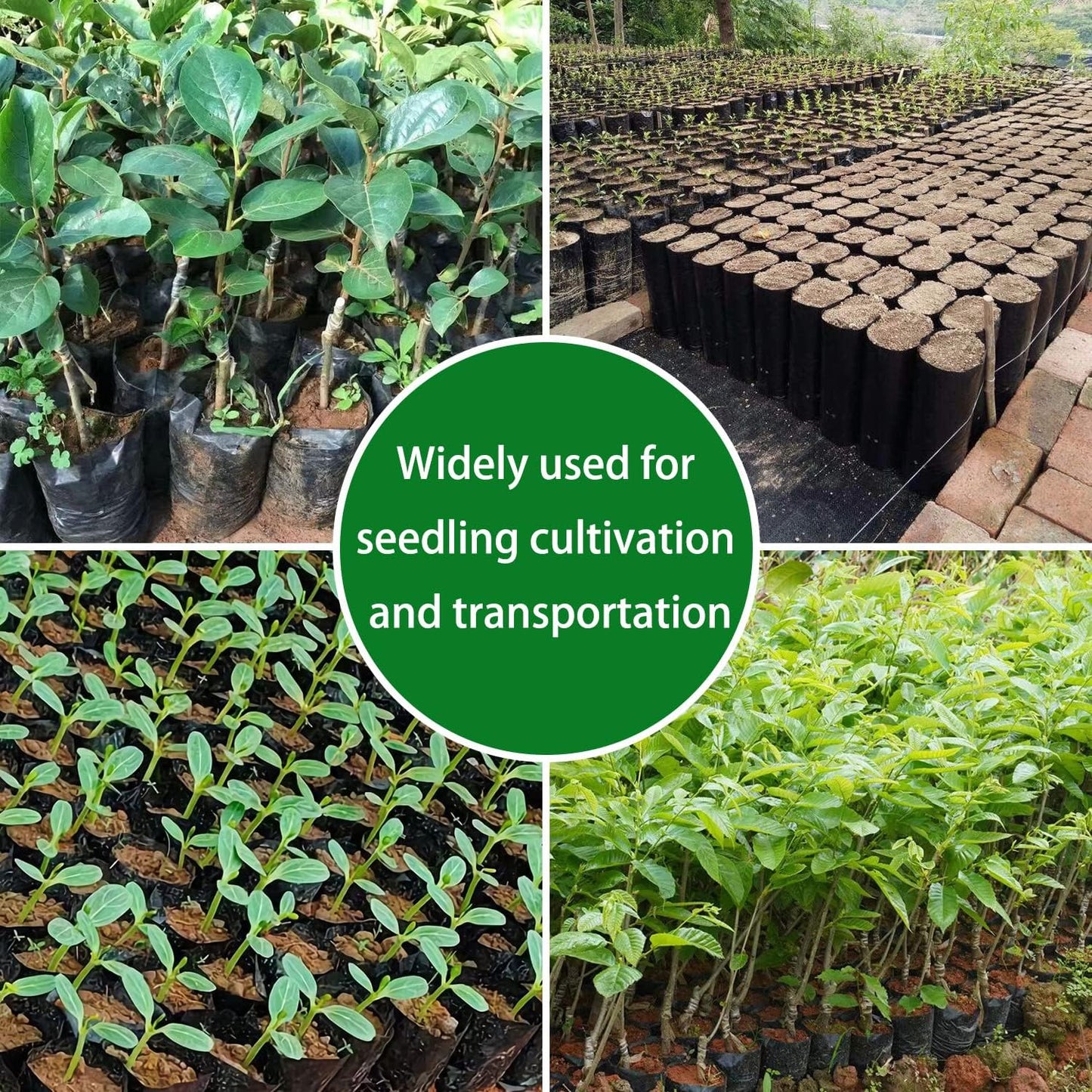 Belit 100 Pcs Plant Nursery Bags, Plastic Seedling Pots Container for Fruit Tree, Flower, Starting saplings, Plant Grow(4.7"x7.3")