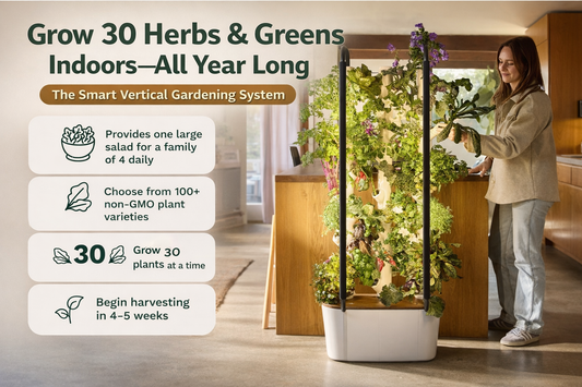 The Winter Indoor Harvest Station: How a Smart Vertical Hydroponics Tower Lets You Grow 30 Herbs & Greens—No Backyard Required