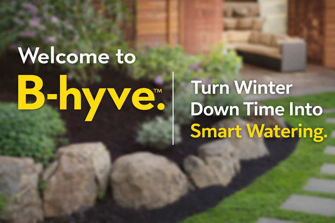 A Smarter Garden Starts Indoors: The Wi-Fi Hub That Helps You Waste Less Water (and Think Less About Watering)