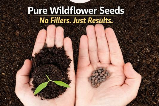 Bulk Wildflower Seed Mix in a No-Mess Tub: The Easiest Way to Create a Bee-Friendly Bloom Zone (Even If You’re Short on Space)