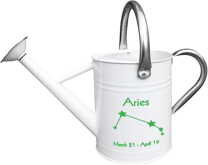 Metal Watering Can for Outdoor and Indoor Plants, Watering Can Decor, 1 Gallon (Aries)