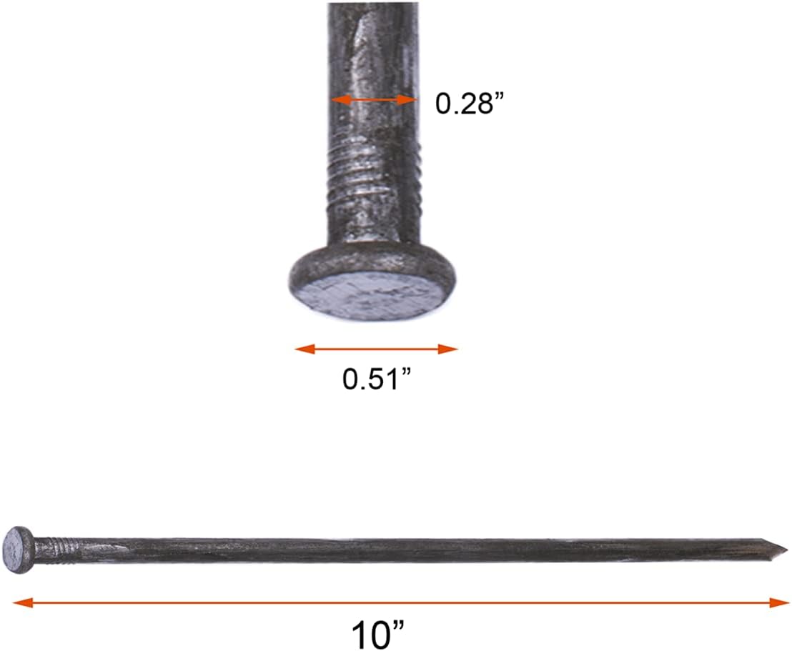 Metal Landscape Edging Anchoring Spikes, 200PCS 10 Inch Landscape Paver Edging Anchoring Spikes for Artificial Turf, Weed Barrier, Tent Spikes, Camping (200)