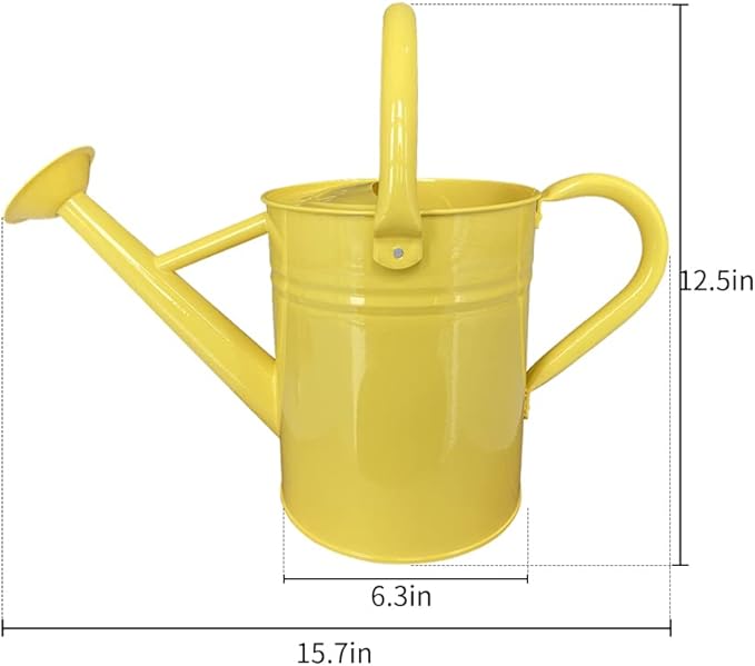 Metal Watering Can for Outdoor and Indoor Plants, Watering Can Decor, 1 Gallon (Yellow)