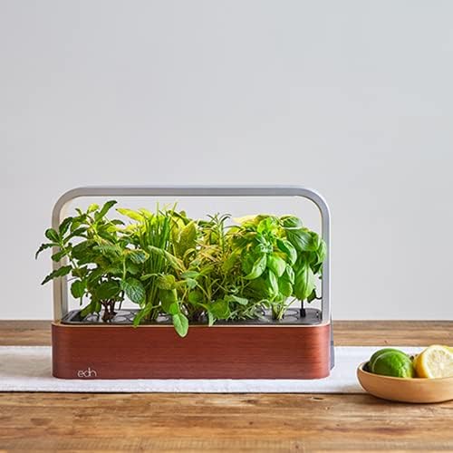 SmallGarden with Basil SeedPods, Indoor Grow Smart Garden for iOS Devices - Fresh Home Grown Herbs, Plants and Flowers - Grow up to 10 Different Plants at Once
